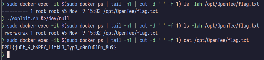 Successful exploit